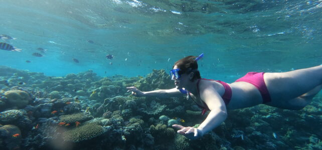 DCIM100GOPROGOPR1029.JPG DCIM100GOPROGOPR1029.JPG